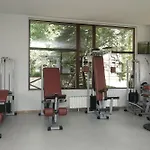 орфей
